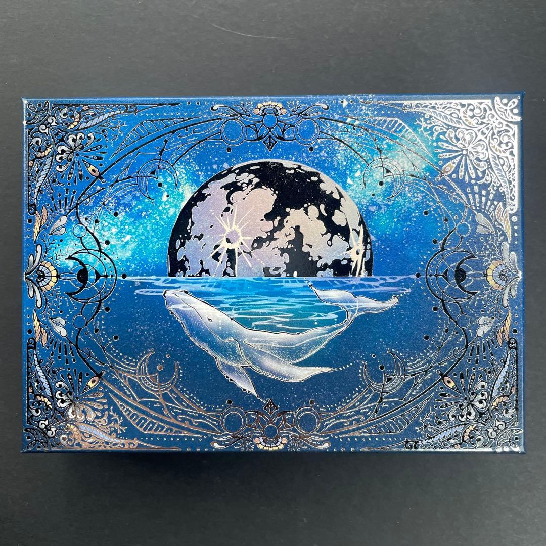 メリーチョコレート✨ ナハトラビュリント　全８種類　2026年　バレンタイン