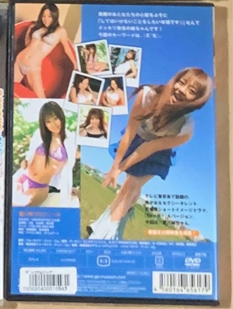 夏川純 田中美鈴 水城るな ももえたん 中古・新品DVD22枚