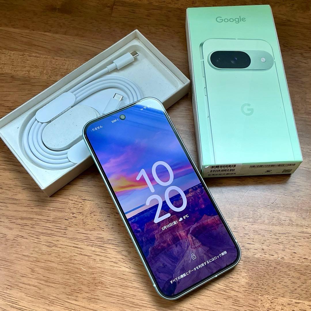 【外装液晶美品】Google Pixel 9 128GB ジャンク品　放電