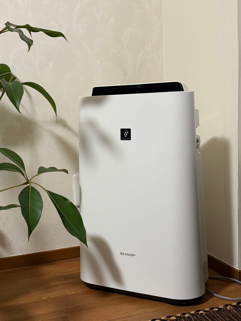 SHARP KC-G40-W 空気清浄機 ホワイト