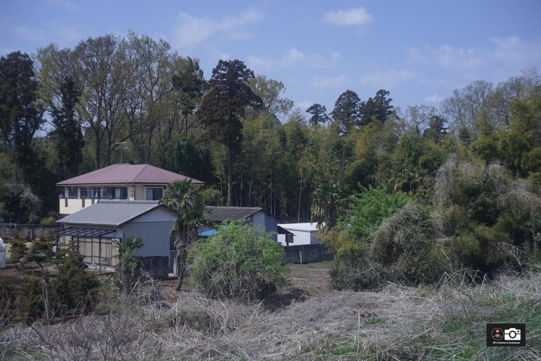 希少Tokyo Opt C Simlar 5cm F/3.5 Ｌ３９レンズ整備済