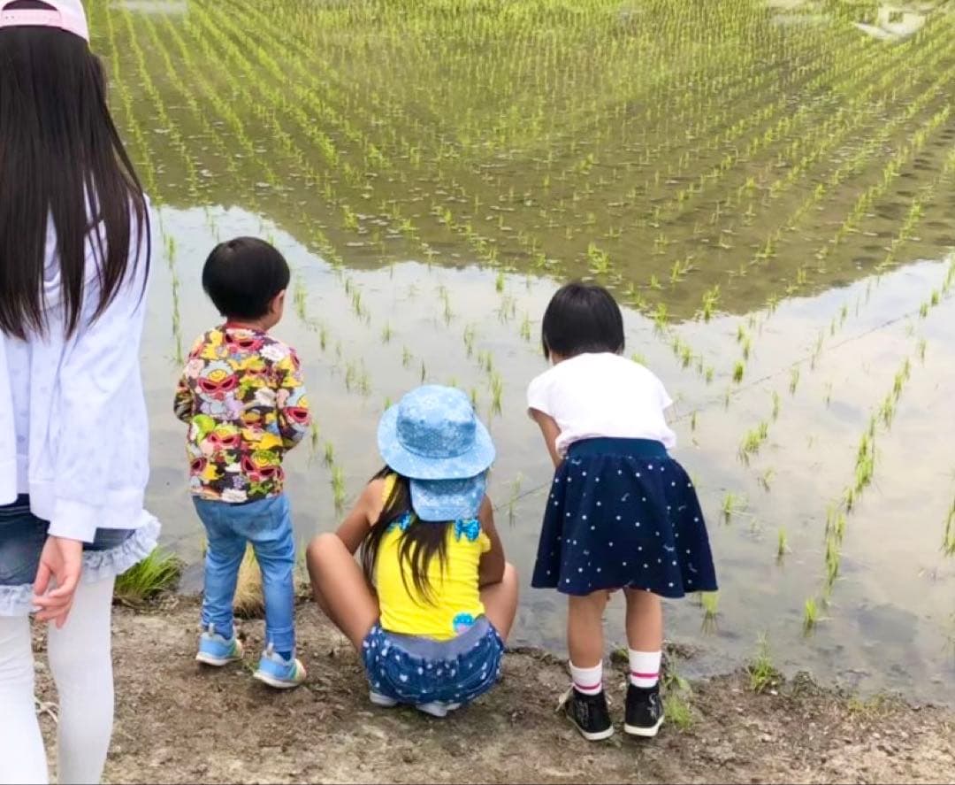 令和7年新米!!高知産コシヒカリ玄米30kg☆彡