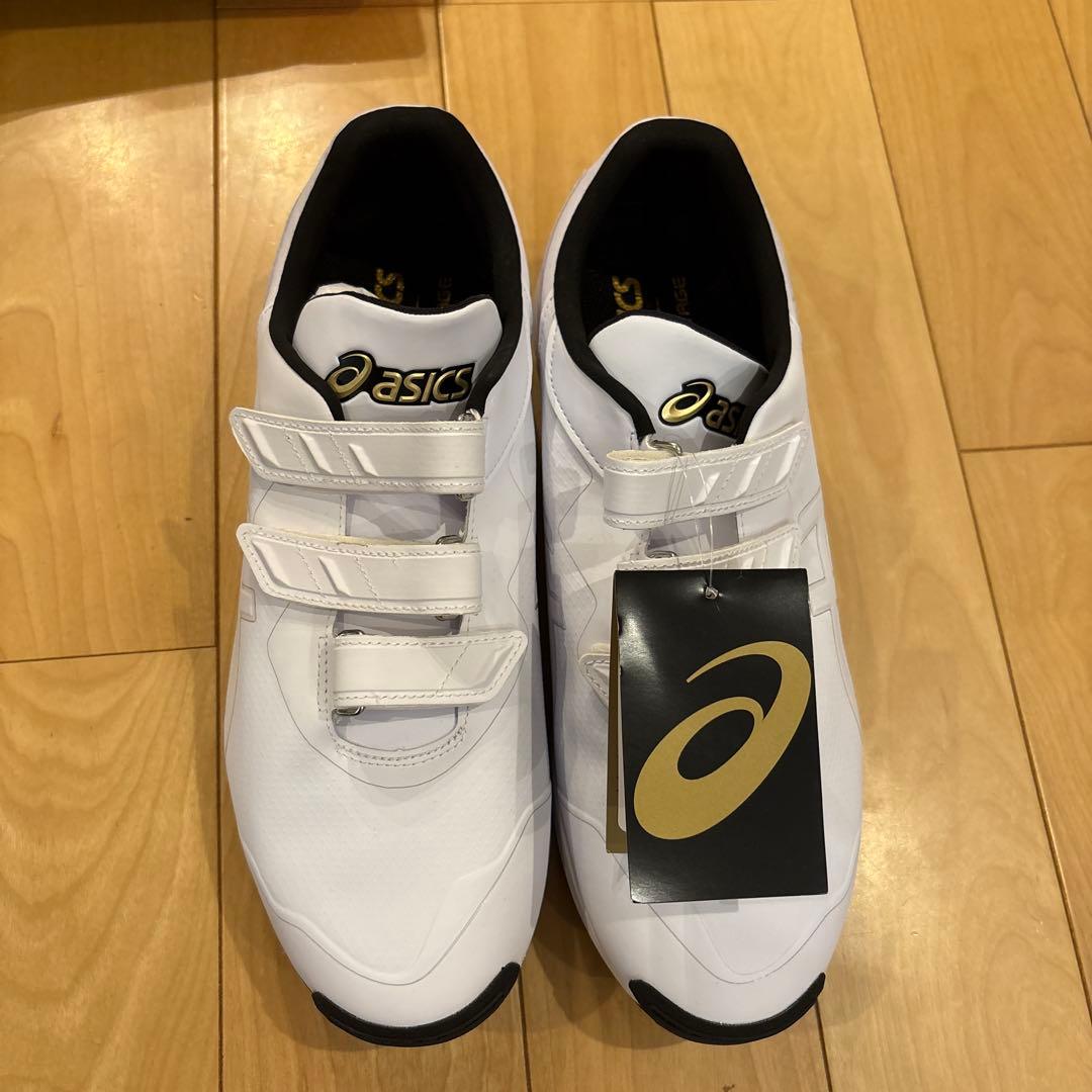 asics GOLDSTAGE トレーニングシューズ 30.0cm