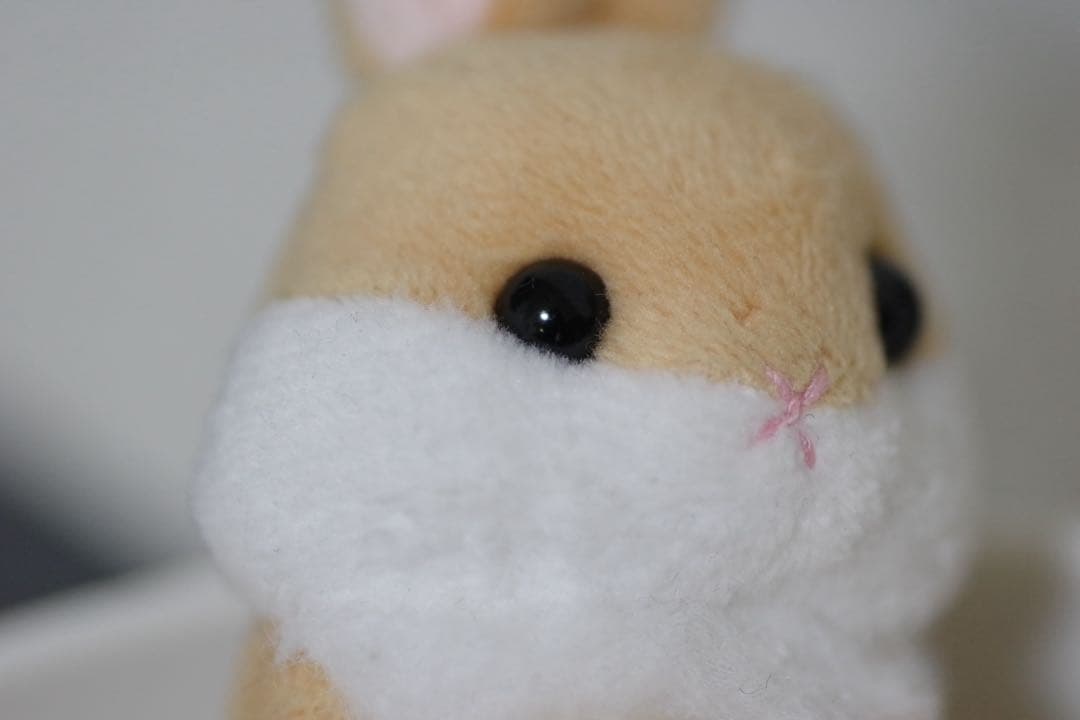 PENTAX D-FA 100 mm f/2,8 Macro WR マクロレンズ