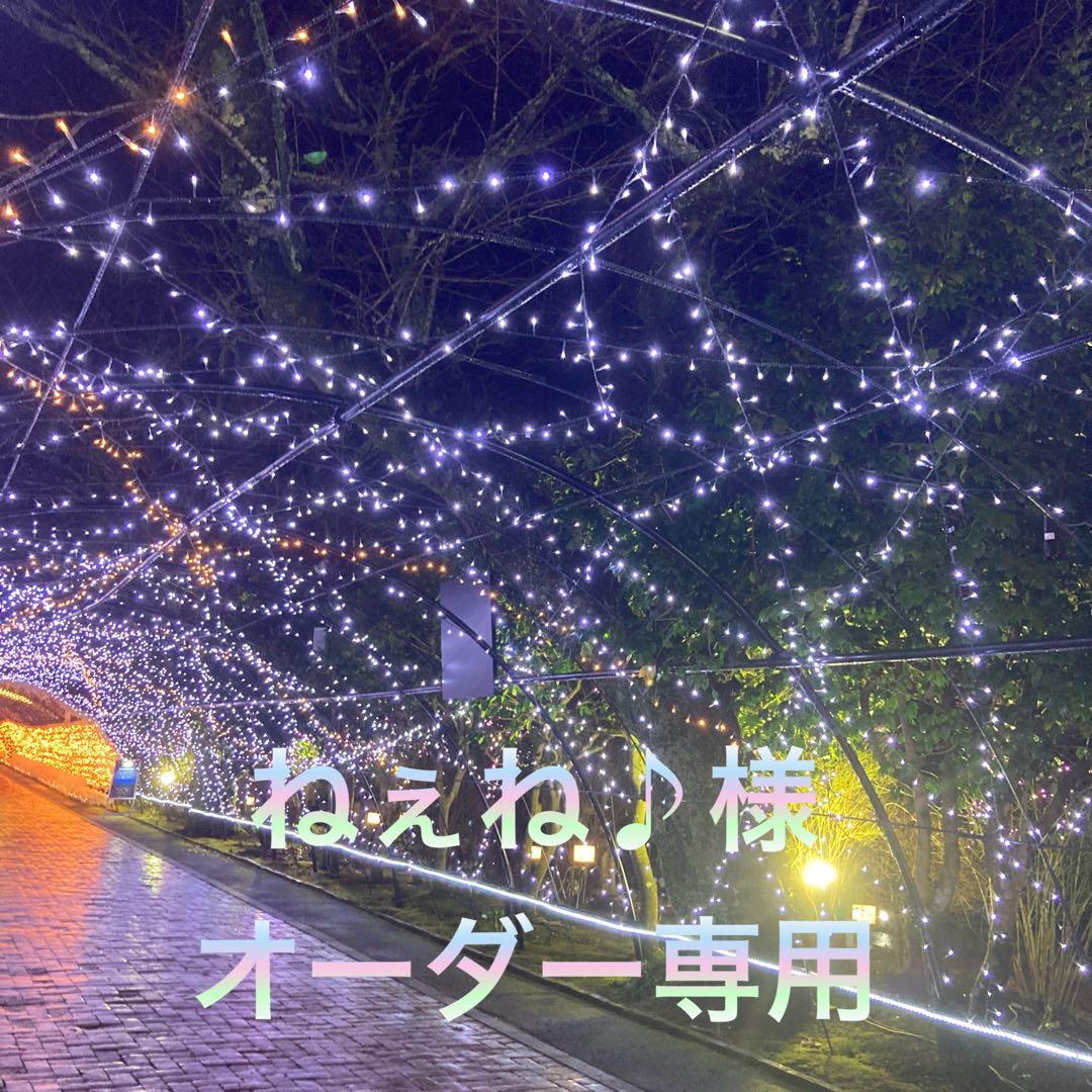 ねぇね♪様オーダー専用ページ