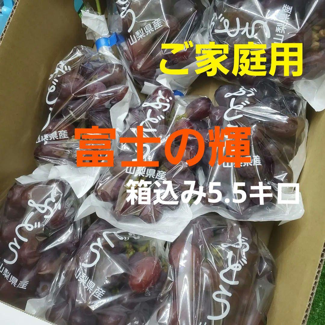 1⃣7️⃣ 山梨県産 富士の輝 ８房入り 箱込み5.5キロ