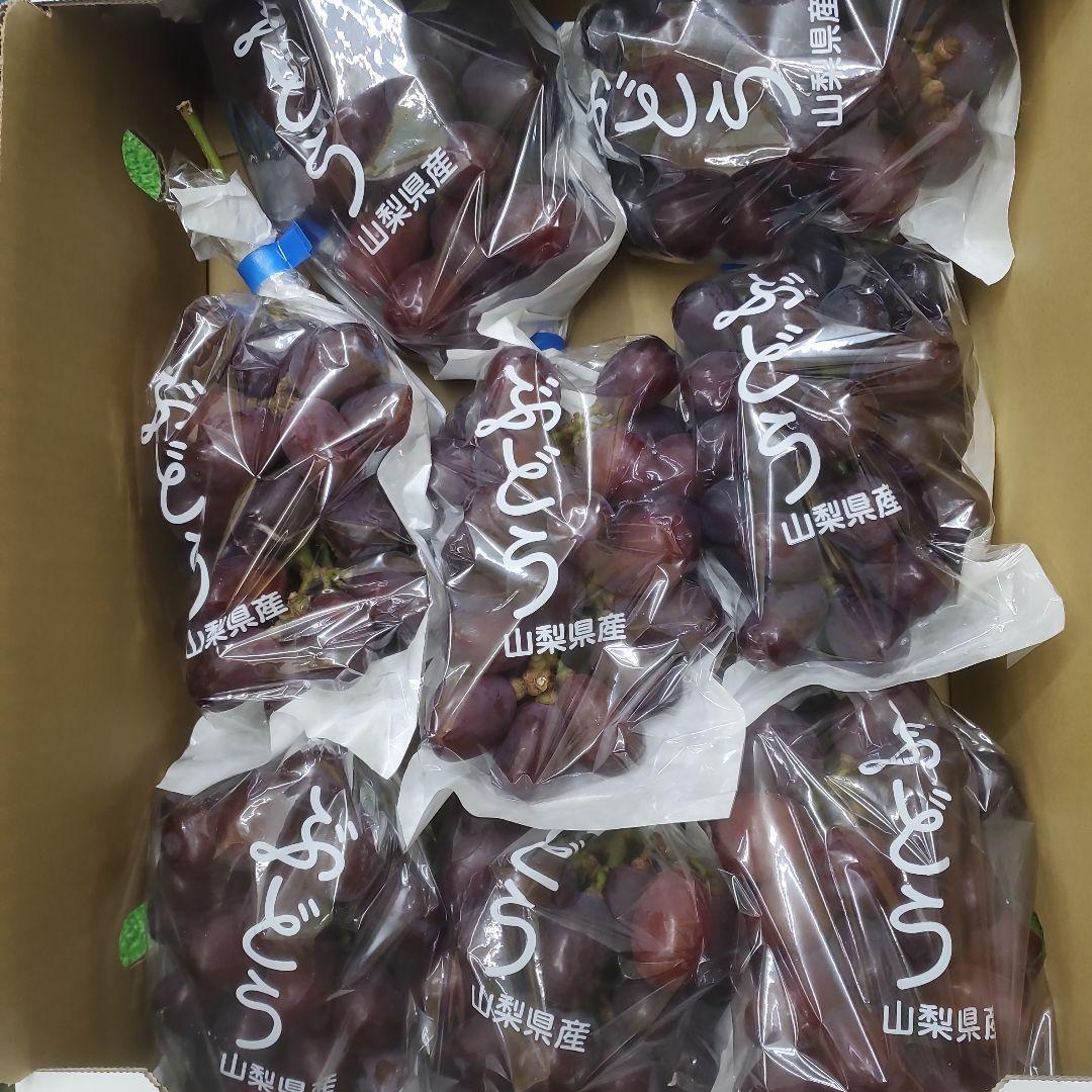 1⃣7️⃣ 山梨県産 富士の輝 ８房入り 箱込み5.5キロ