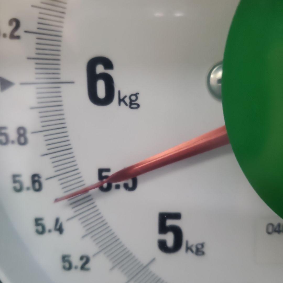 1⃣7️⃣ 山梨県産 富士の輝 ８房入り 箱込み5.5キロ