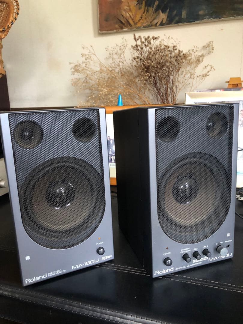 希少❤️Roland MA-150U STEREO MICROMONITOR