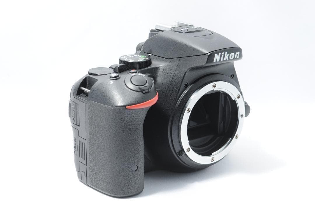 家族も風景写真も綺麗に残せる❤️Nikon D5500✨Wi-Fiでスマホ転送