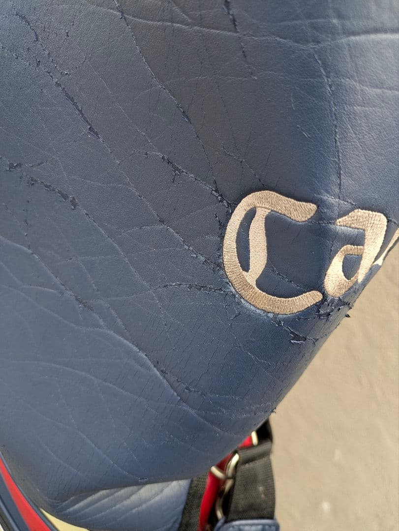 豪華18本 キャロウェイ ゴルフクラブ メンズフルセット オマケ付き 初心者R