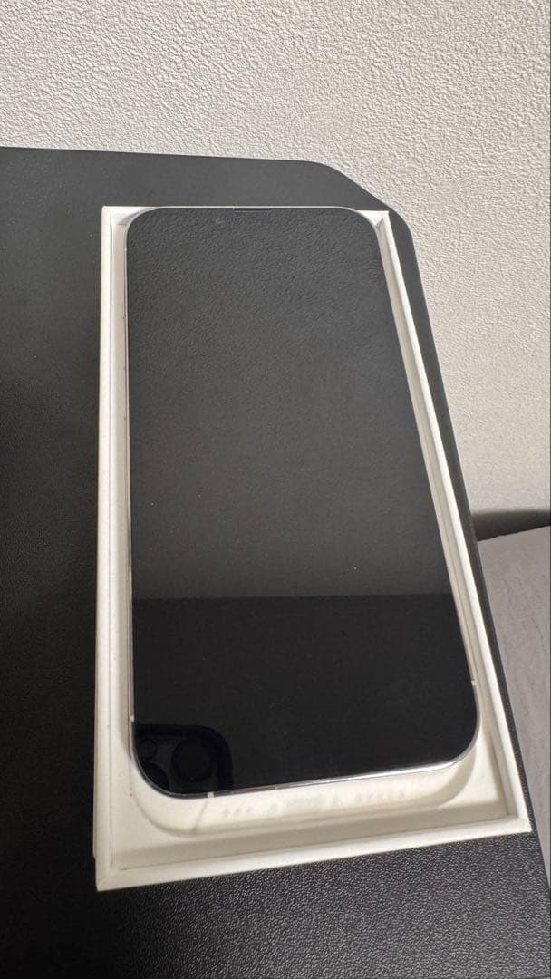 iPhone 13 Pro 128GB Silver US版