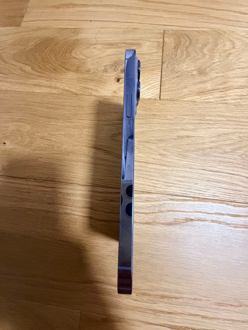 Apple iPhone 13 Pro Max シエラブルー