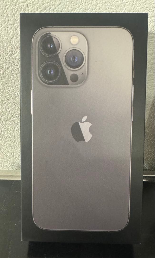 【美品】iPhone13 Pro 256G 海外版 グラファイト シャッター音無