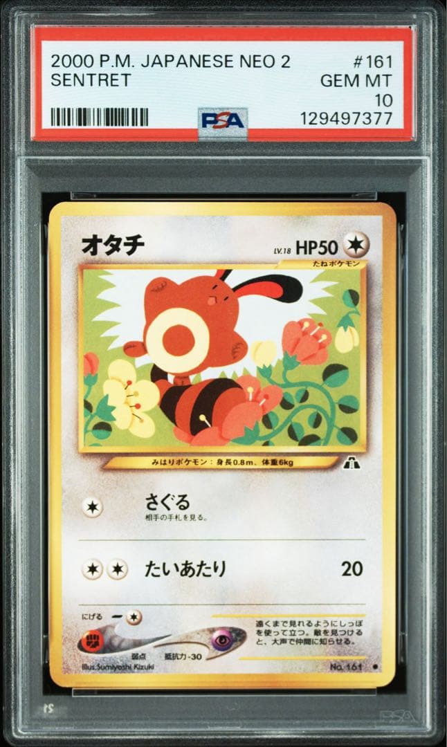 【PSA10】ポケモンカード　旧裏　オタチ　neo