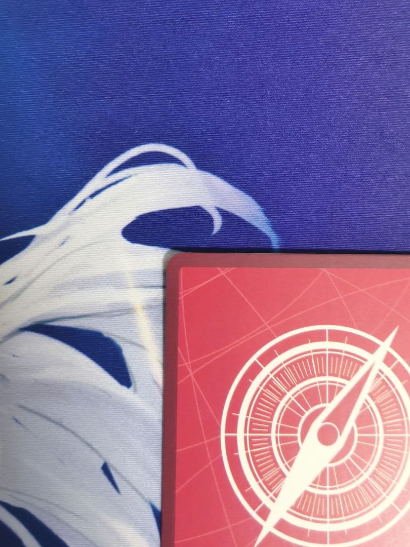 モンキーDルフィ リーダーパラレル