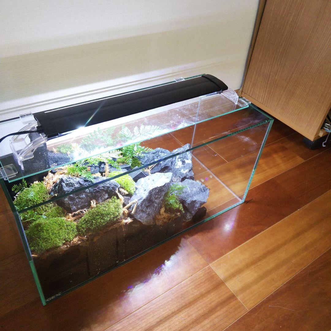 【受注生産】滝の流れるアクアテラリウム　イモリウム　苔テラリウム　テラリウム