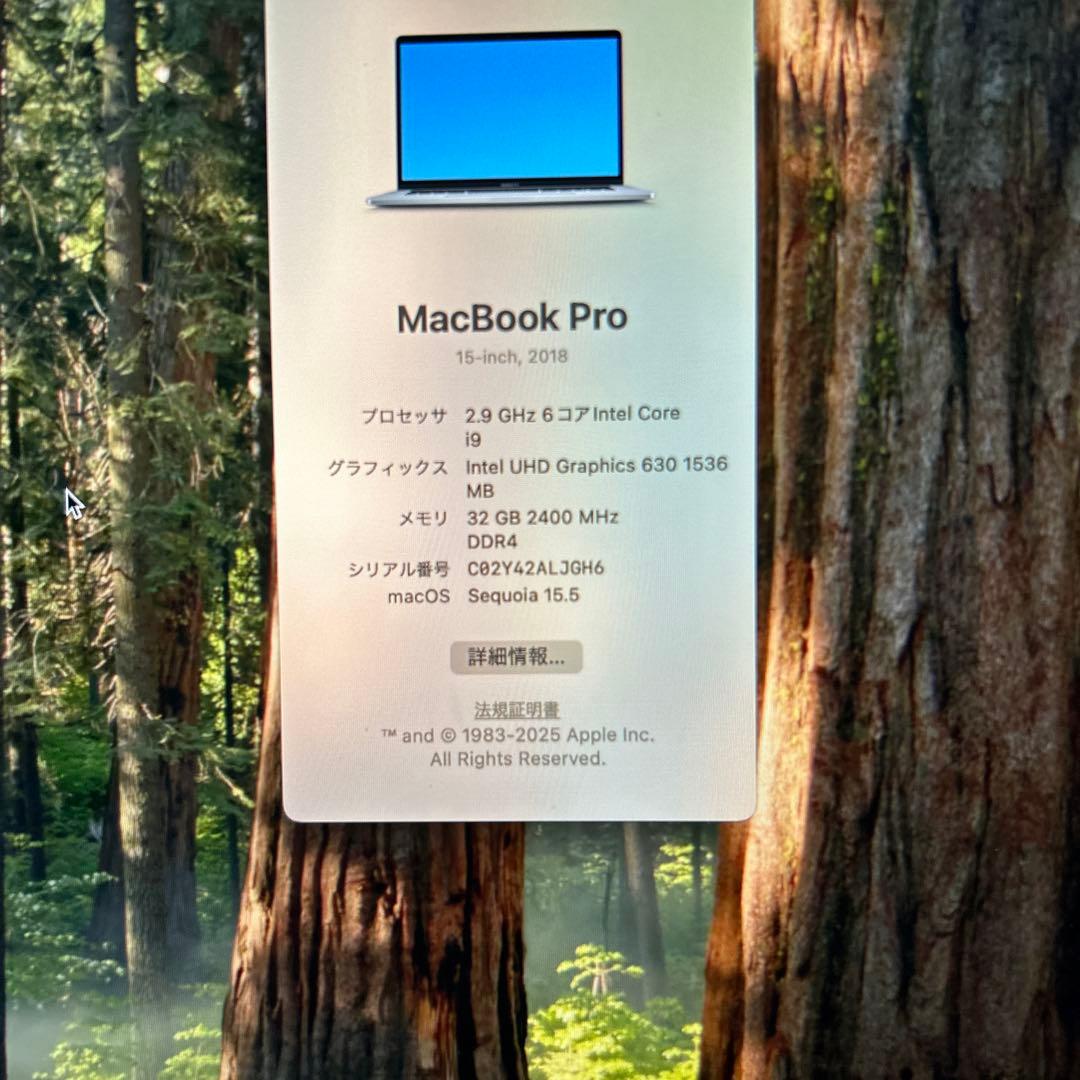 MacBook Pro 15インチ2018 Corei9 512GB 32gb