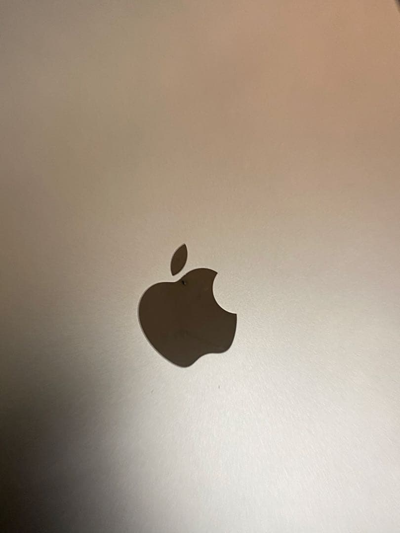 第3世代　iPad Pro 12.9インチ　512GB Wi-Fiモデル