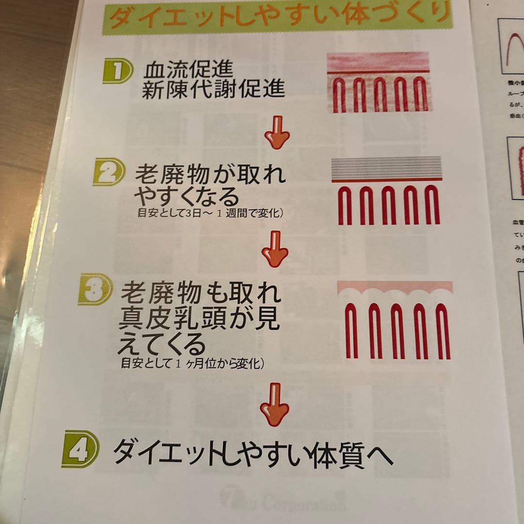 血流観察装置BscanPRO