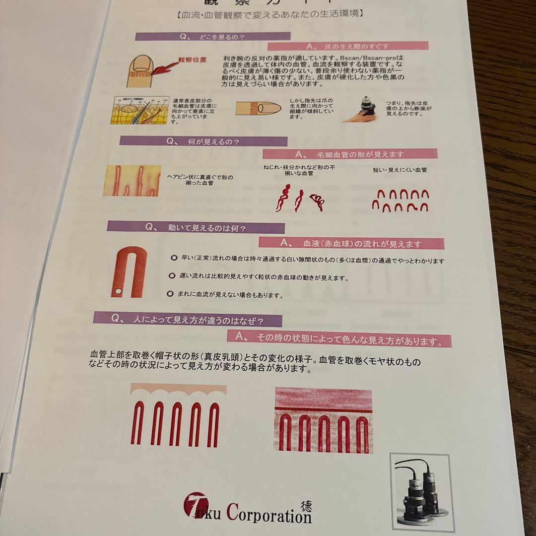 血流観察装置BscanPRO