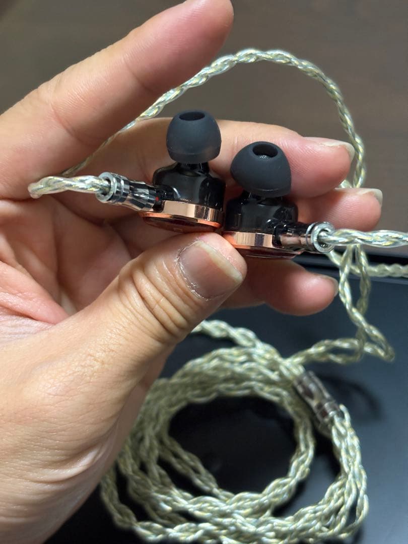 fiio fp3 rosewood 金メッキケーブル付