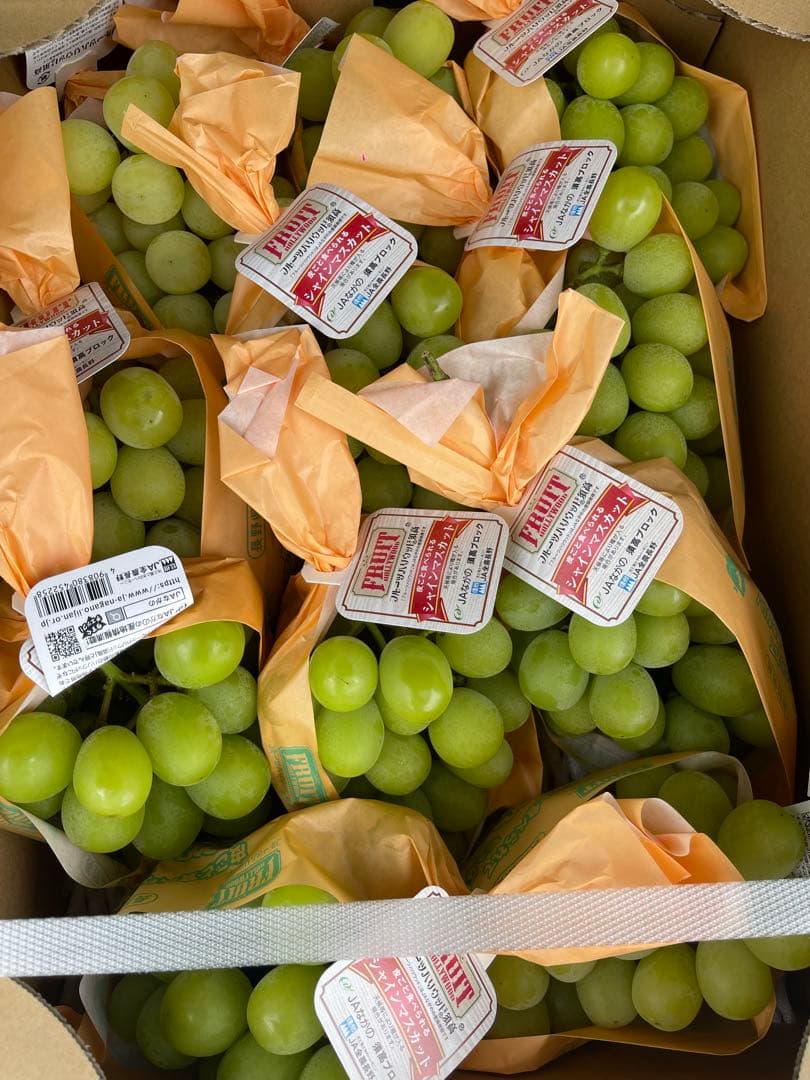 M♡長野県シャインマスカット11房5キロ高級品質