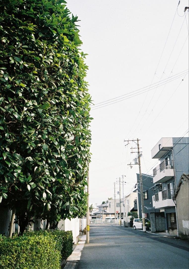 Ricoh AUTO HALF SE オートハーフ　メンテナンス完了