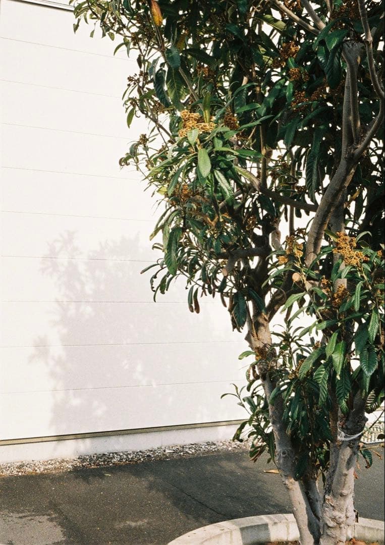 Ricoh AUTO HALF SE オートハーフ　メンテナンス完了