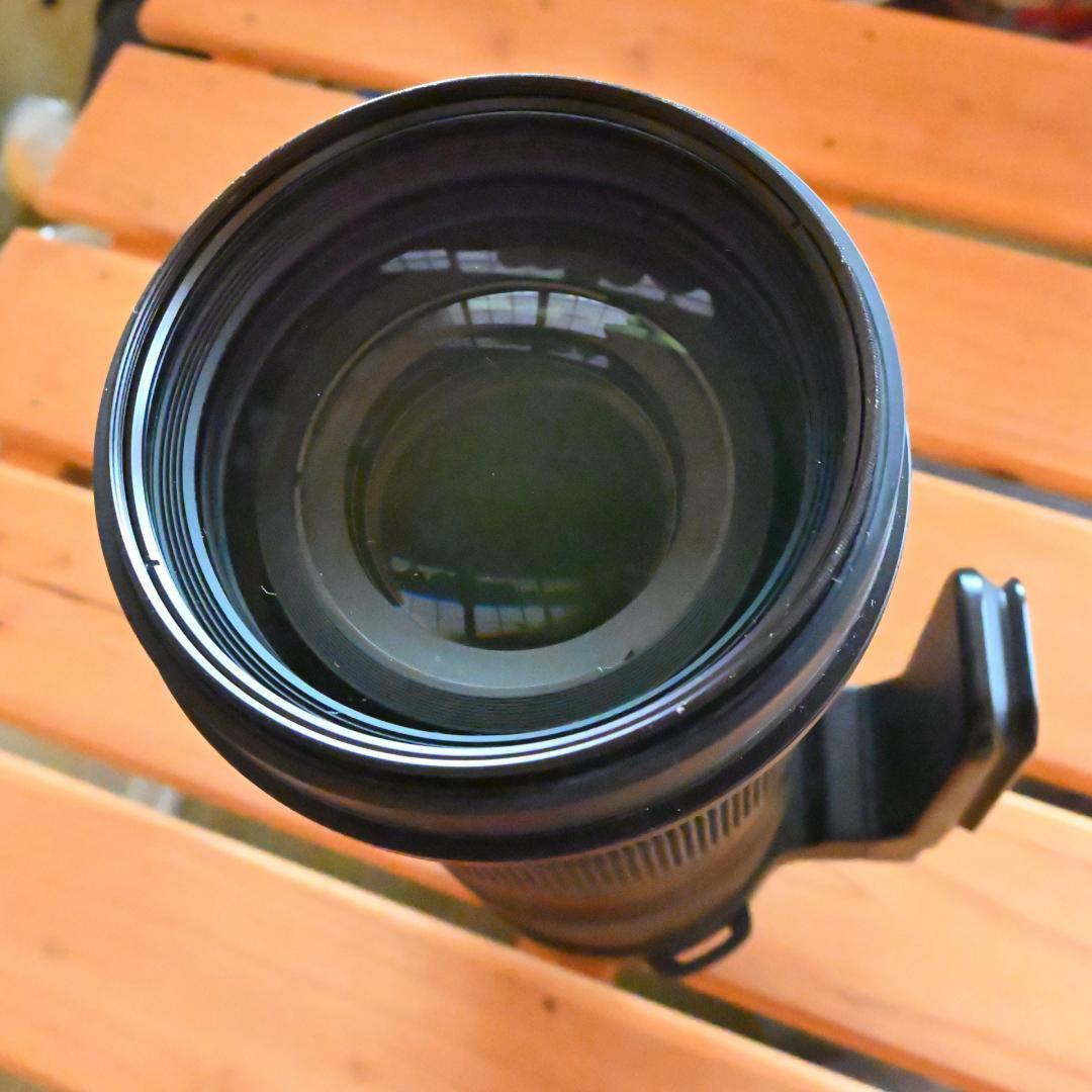 シグマSports60-600mm F4.5-6.3 DG OS HSM ニコン