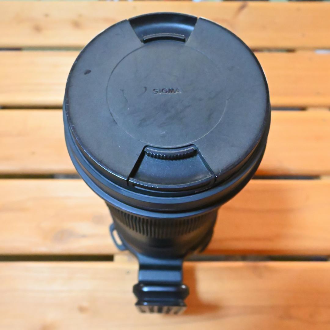 シグマSports60-600mm F4.5-6.3 DG OS HSM ニコン