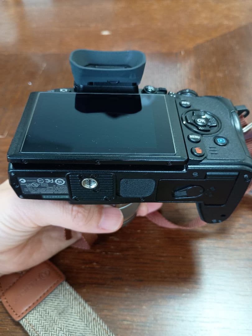 【美品】OLYMPUS E-M1 レンズ付