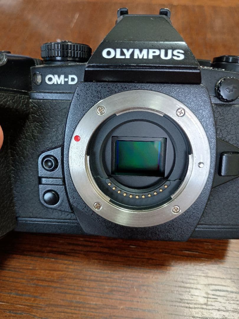 【美品】OLYMPUS E-M1 レンズ付