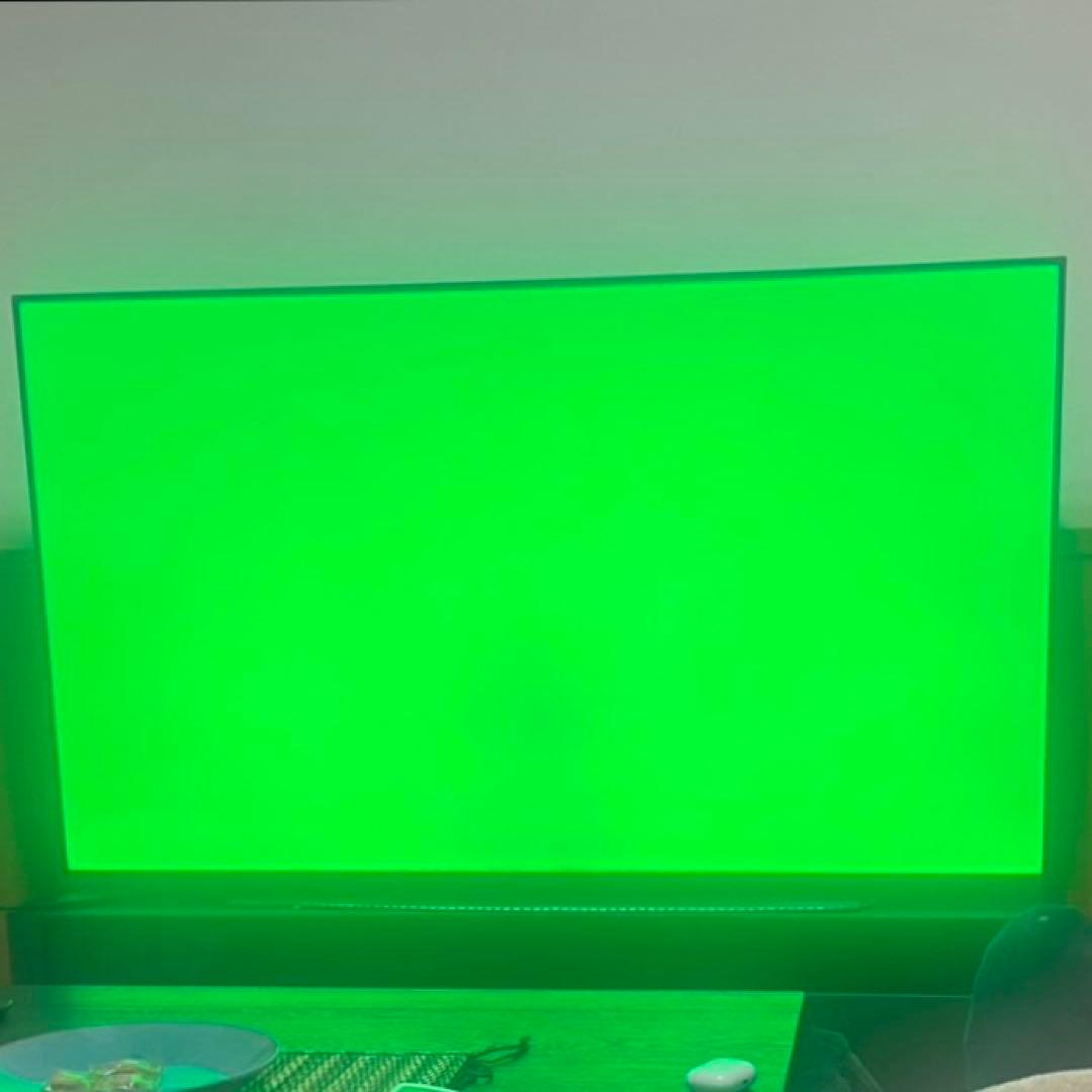 ◇LG OLED65C9PJA 65インチ テレビ◇