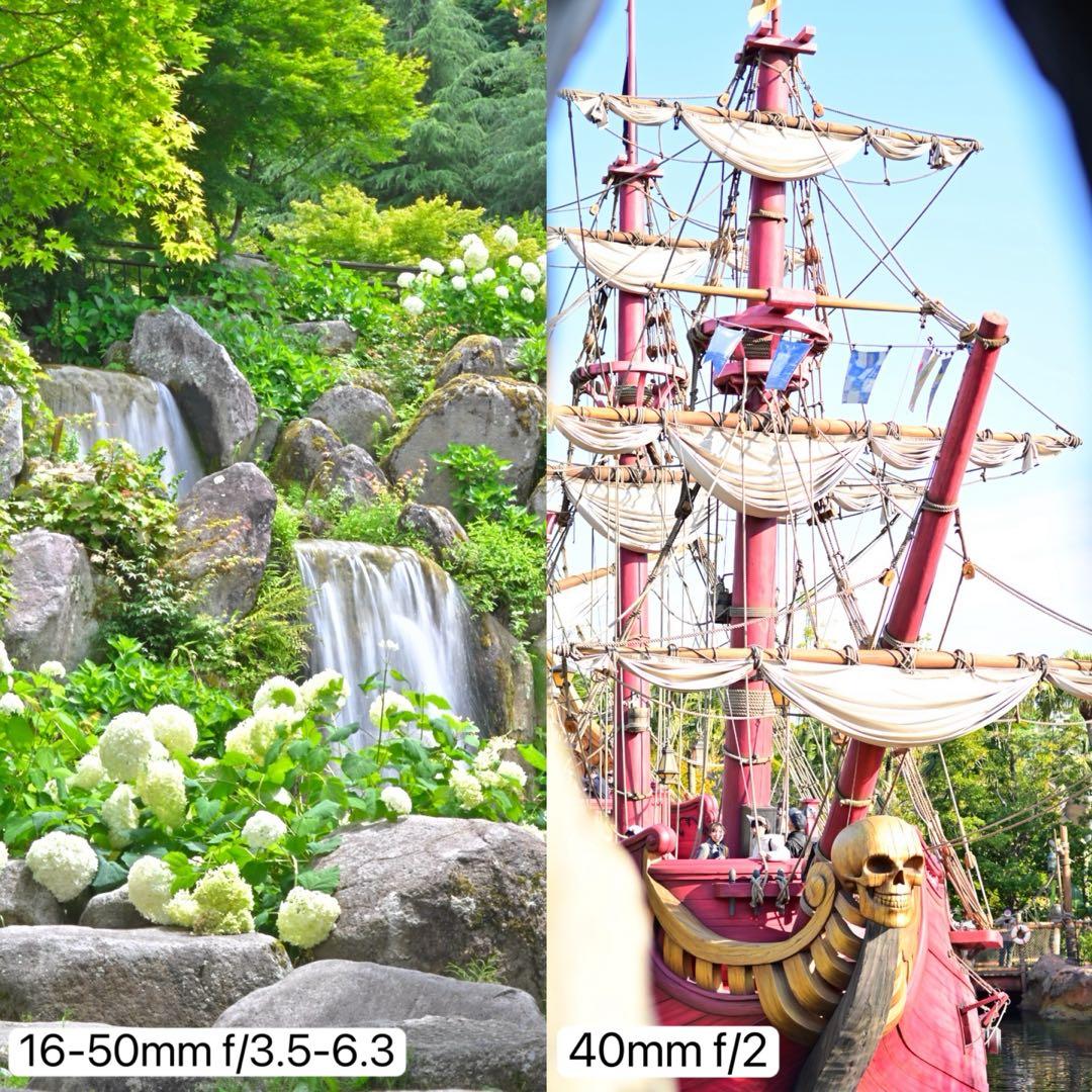 Nikon Z fc 付属品付き