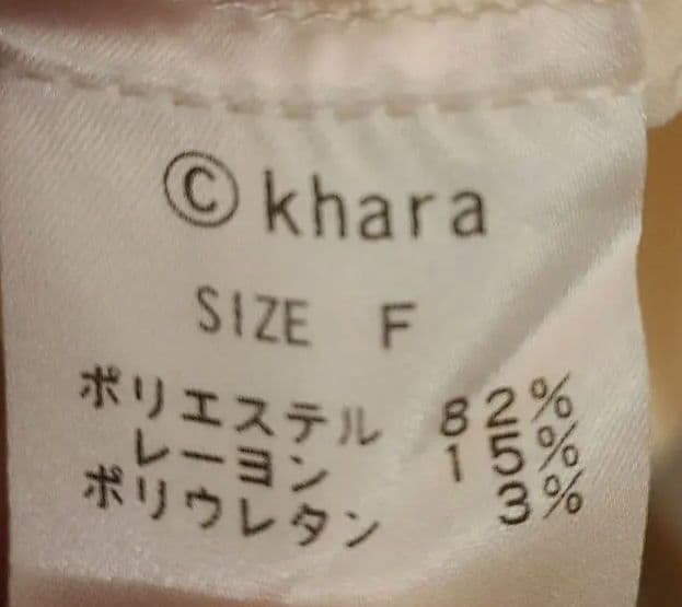 RADIO EVA THE BEAST スーベニアシャツ 希少