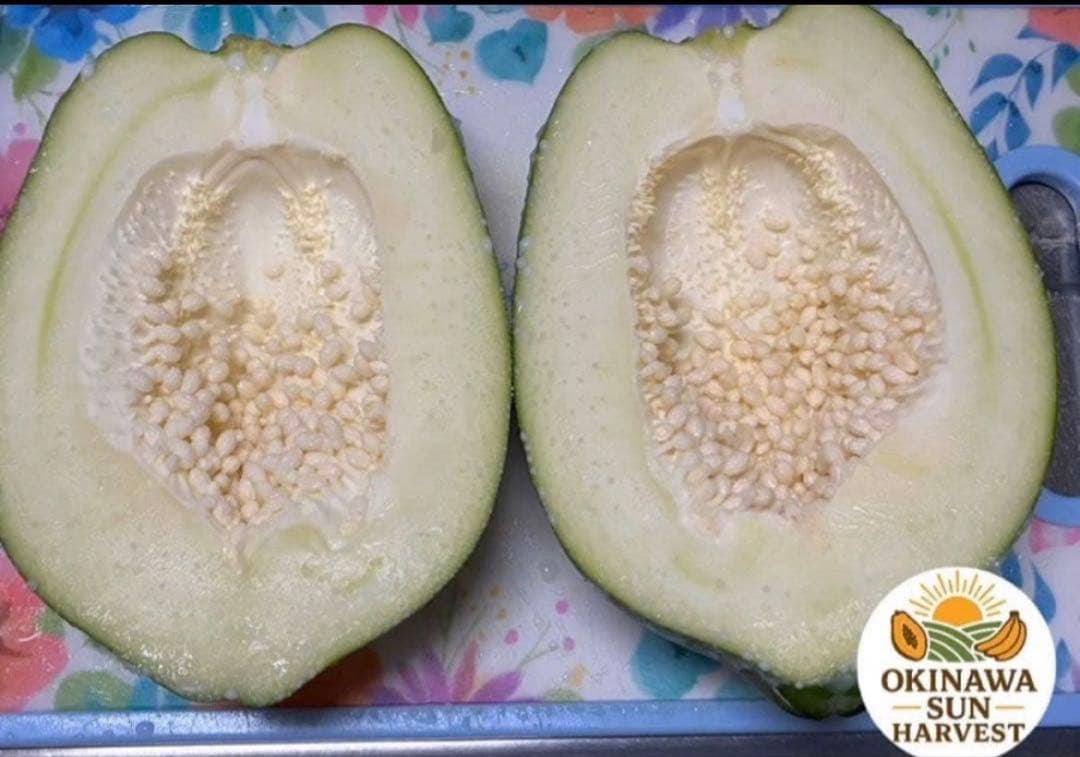 グリーンパパイヤ 10Kg