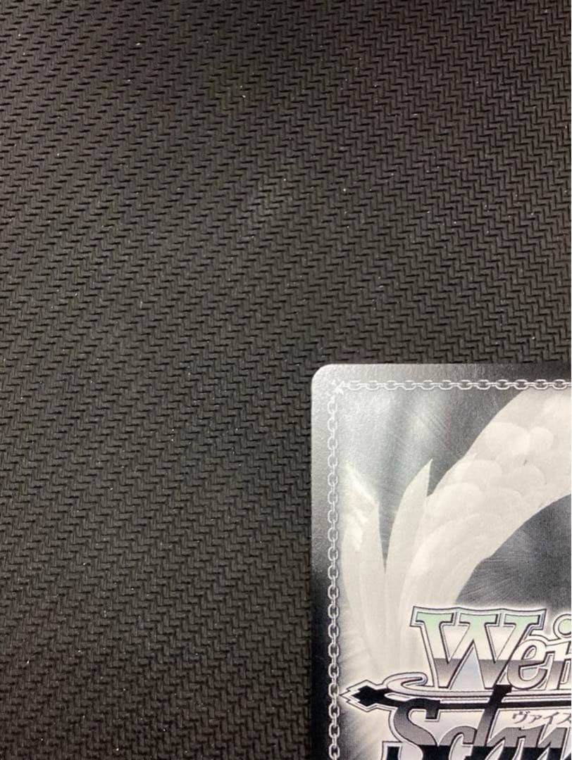 WS るろうに剣心 神谷活心流 師範代 神谷 薫 SP サイン