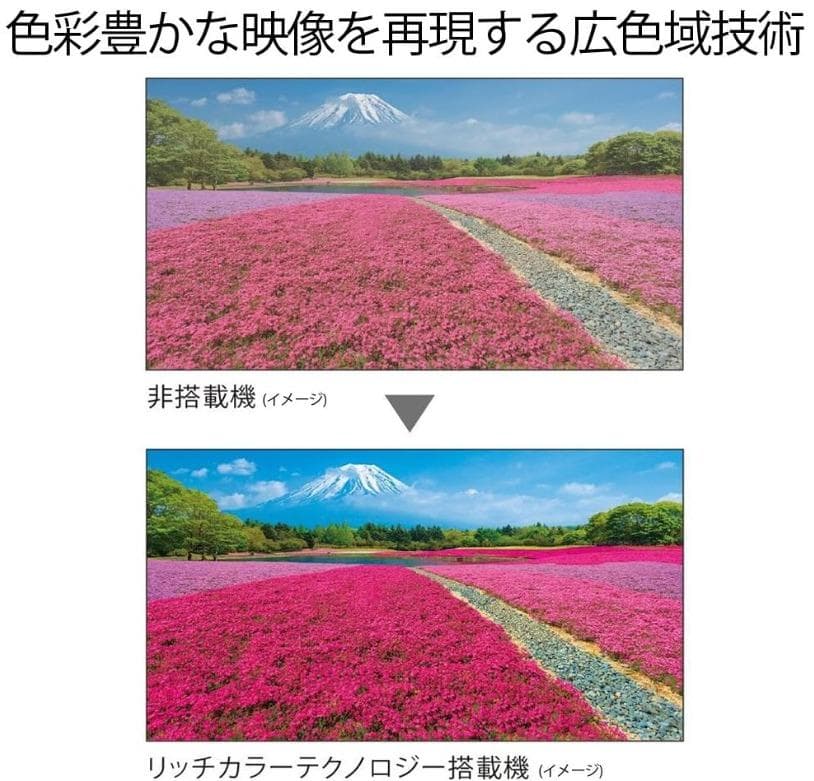 SHARP 50インチ 4K液晶テレビ LC-50U40