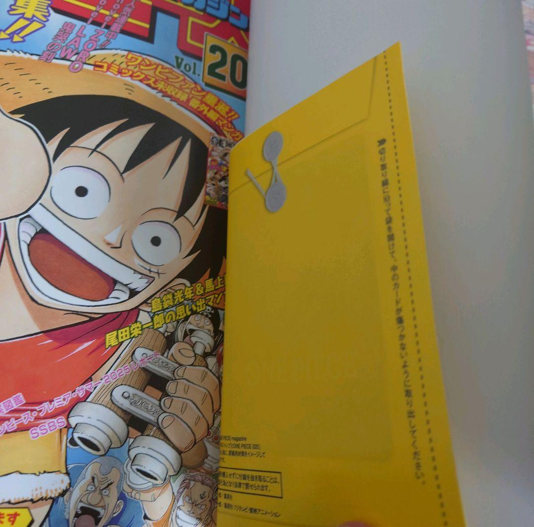 プロモカード付 ONE PIECE magazine 020 ワンピースマガジン