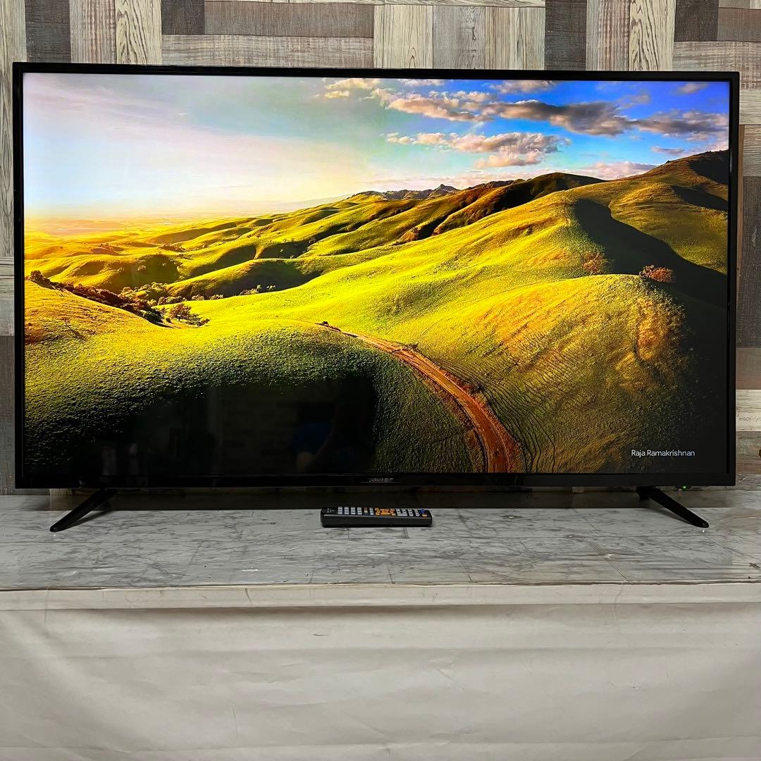 即日受渡❣️全国送料込ジャパンネクスト55V型4K目に優しいブルー軽減スピーカー