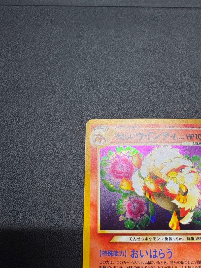 【良品◯】ポケモンカード　旧裏　Pokéca