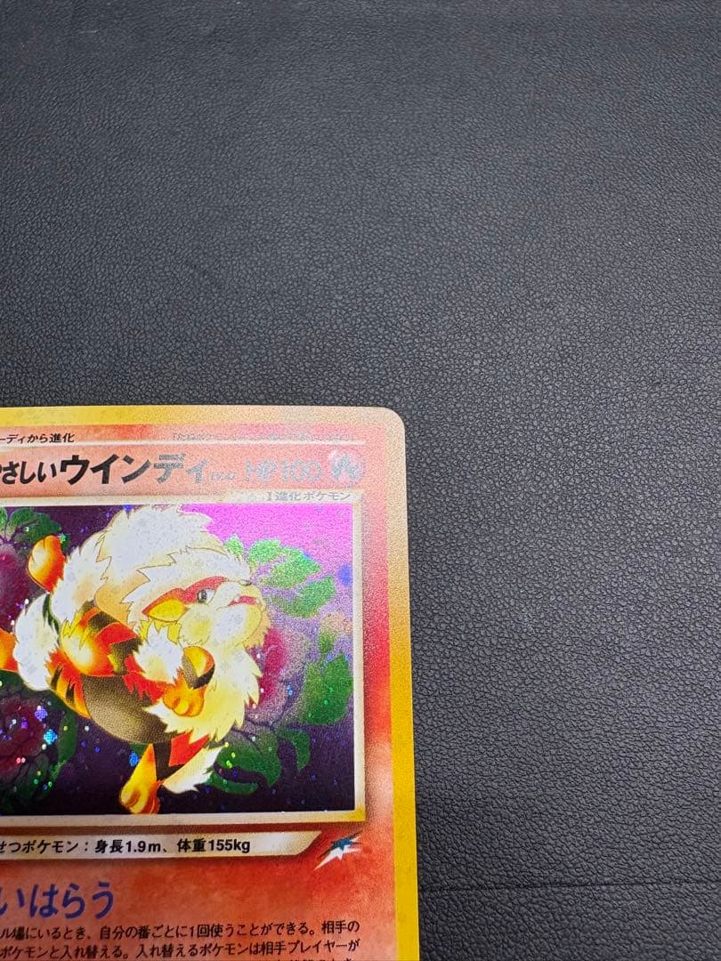 【良品◯】ポケモンカード　旧裏　Pokéca