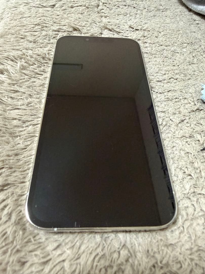 Apple iPhone 13 Pro シルバー 本体　128GB 機能良好