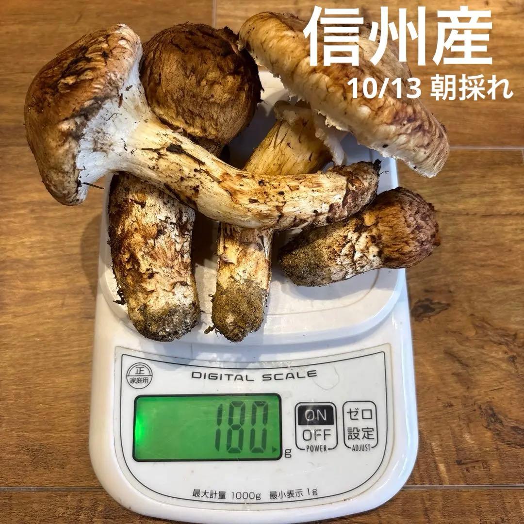 信州産‼️松茸 4本セット 180g 10/13 朝採れ