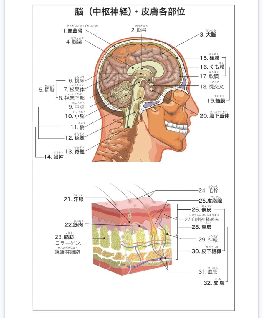 ハイパワーマグマ 110ml 15%液
