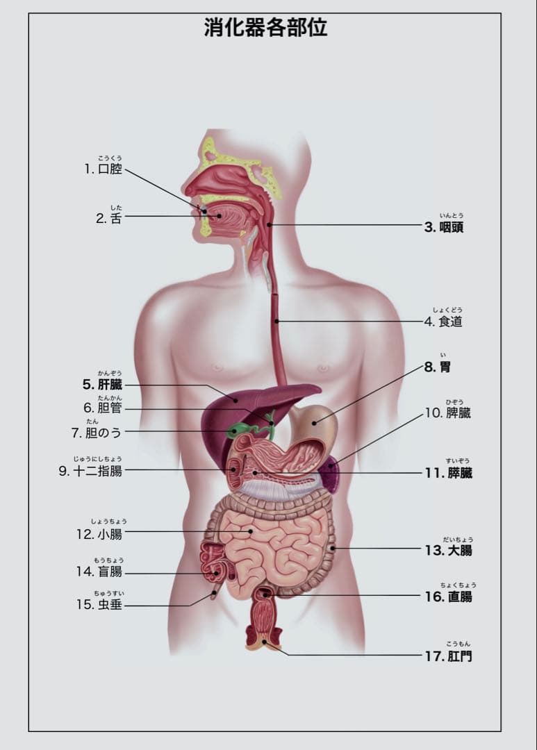 ハイパワーマグマ 110ml 15%液