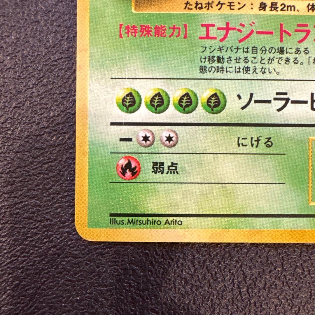 フシギバナ ★ 第1弾拡張パック　旧裏