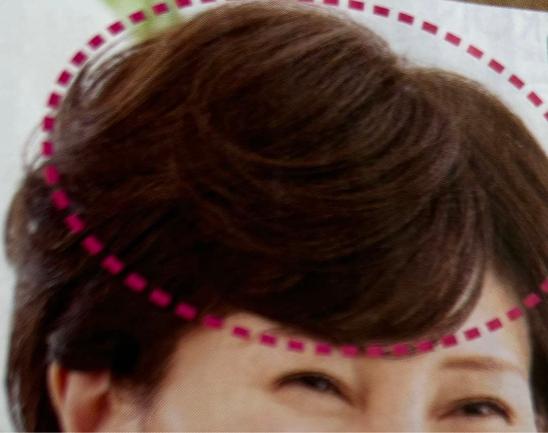 希少価値人毛100%❤️ジュリアオージェ部分ウィッグ❤️白髪薄毛隠し❤️定価5.48万