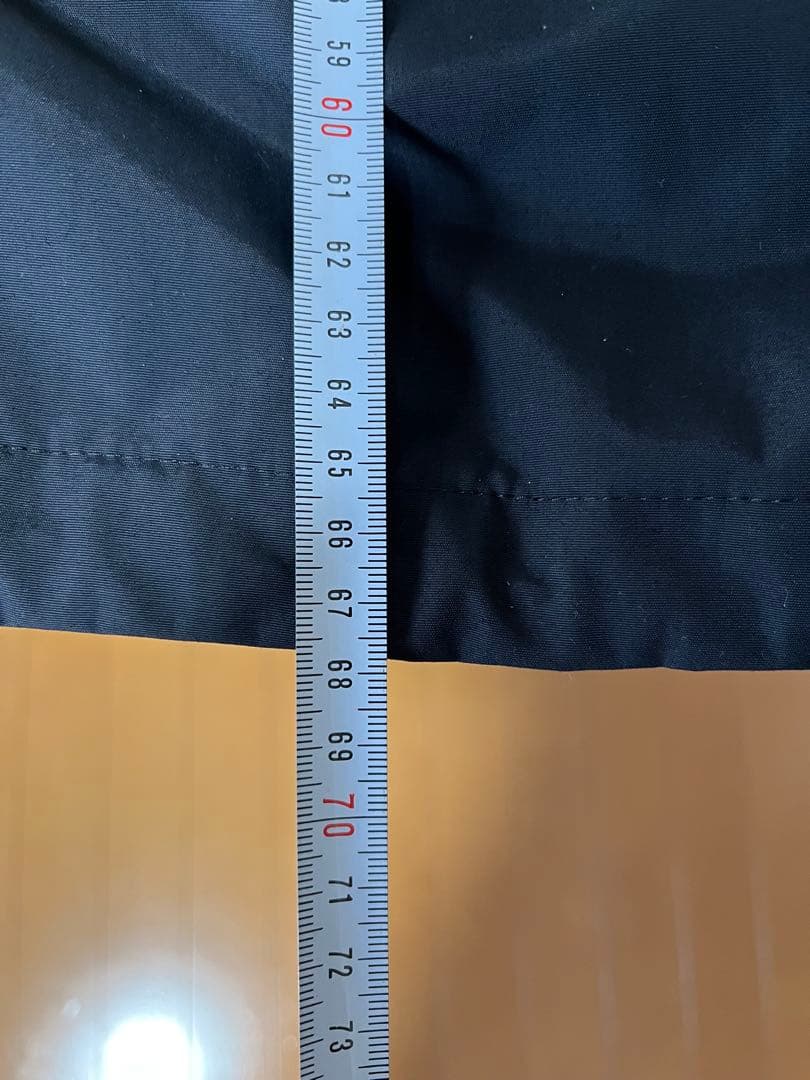 THE NORTH FACE ゴールドミルパーカ WS